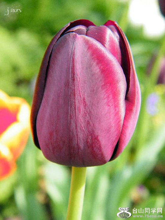 DSCF4666=.jpg