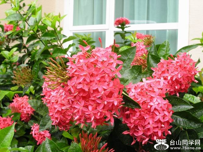 С PICT0030.JPG