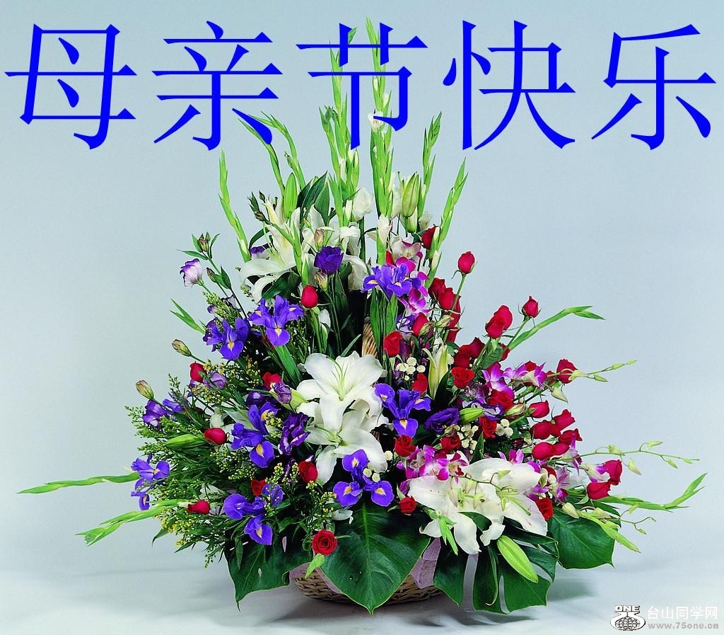 19_34326_725144f3600bf63-copy.jpg