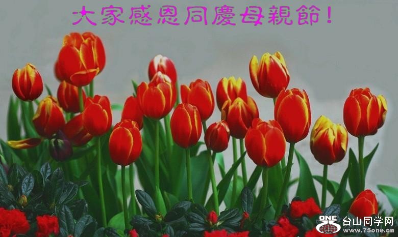 19_34563_c186f2d706087b7-copy.jpg