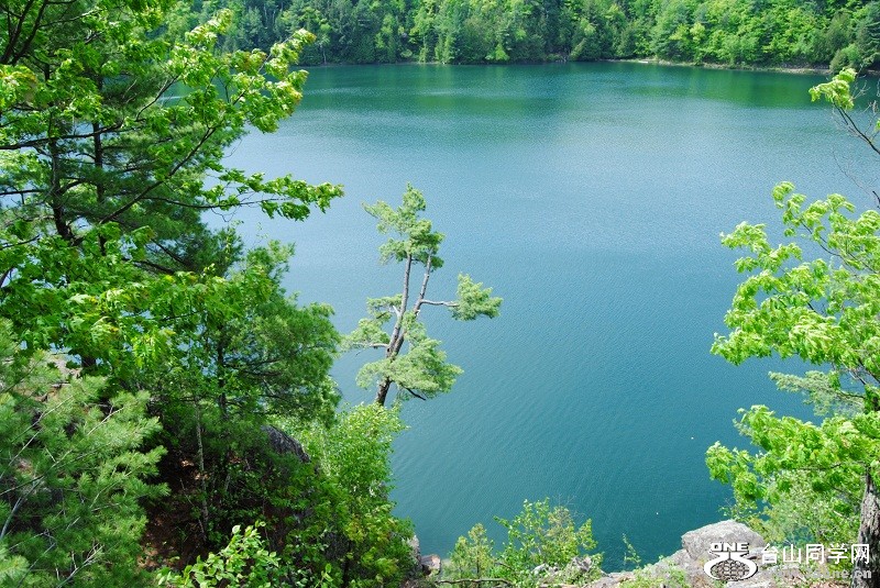 DSC_2436.JPG