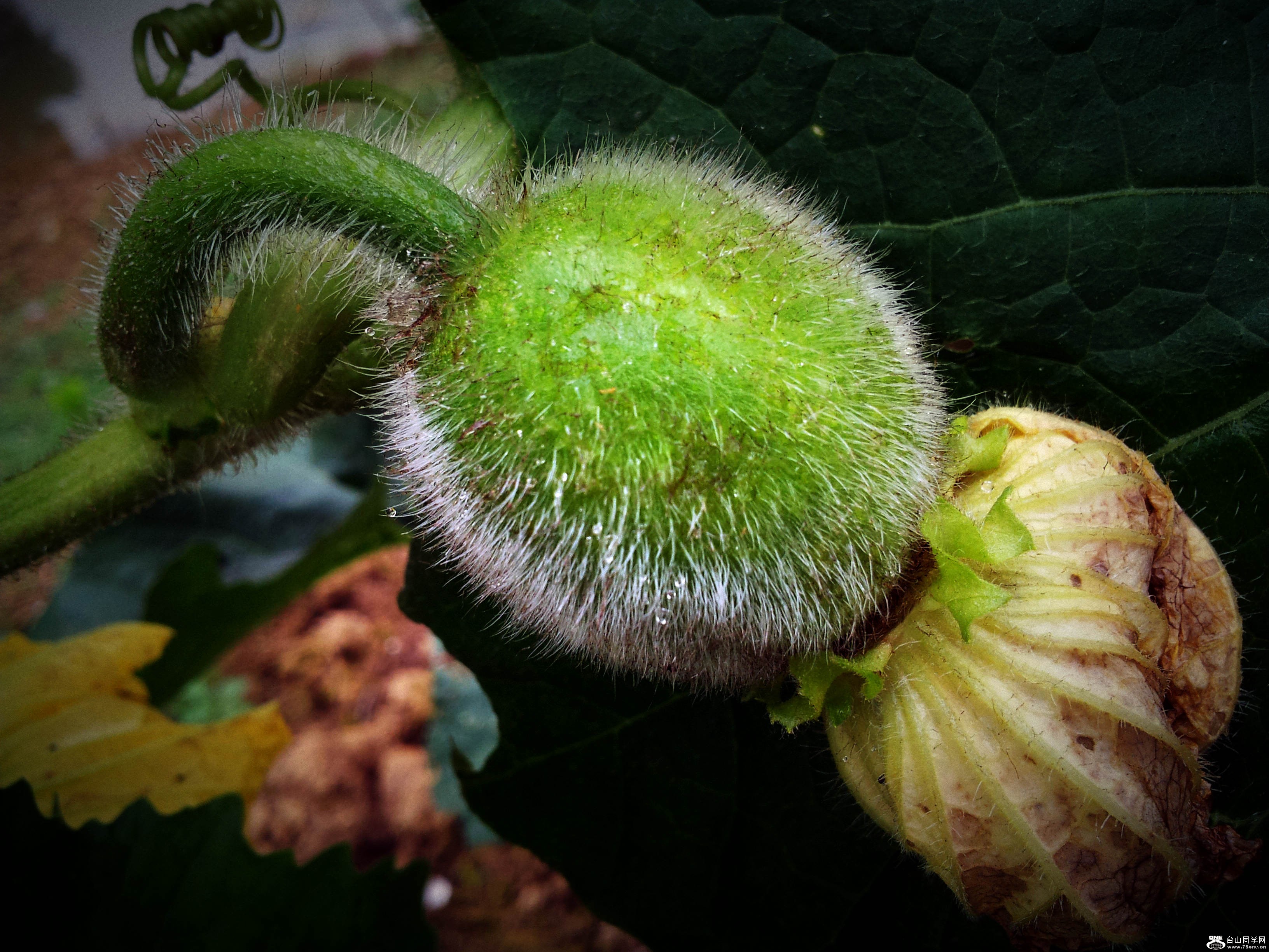 20120506_171134.jpg