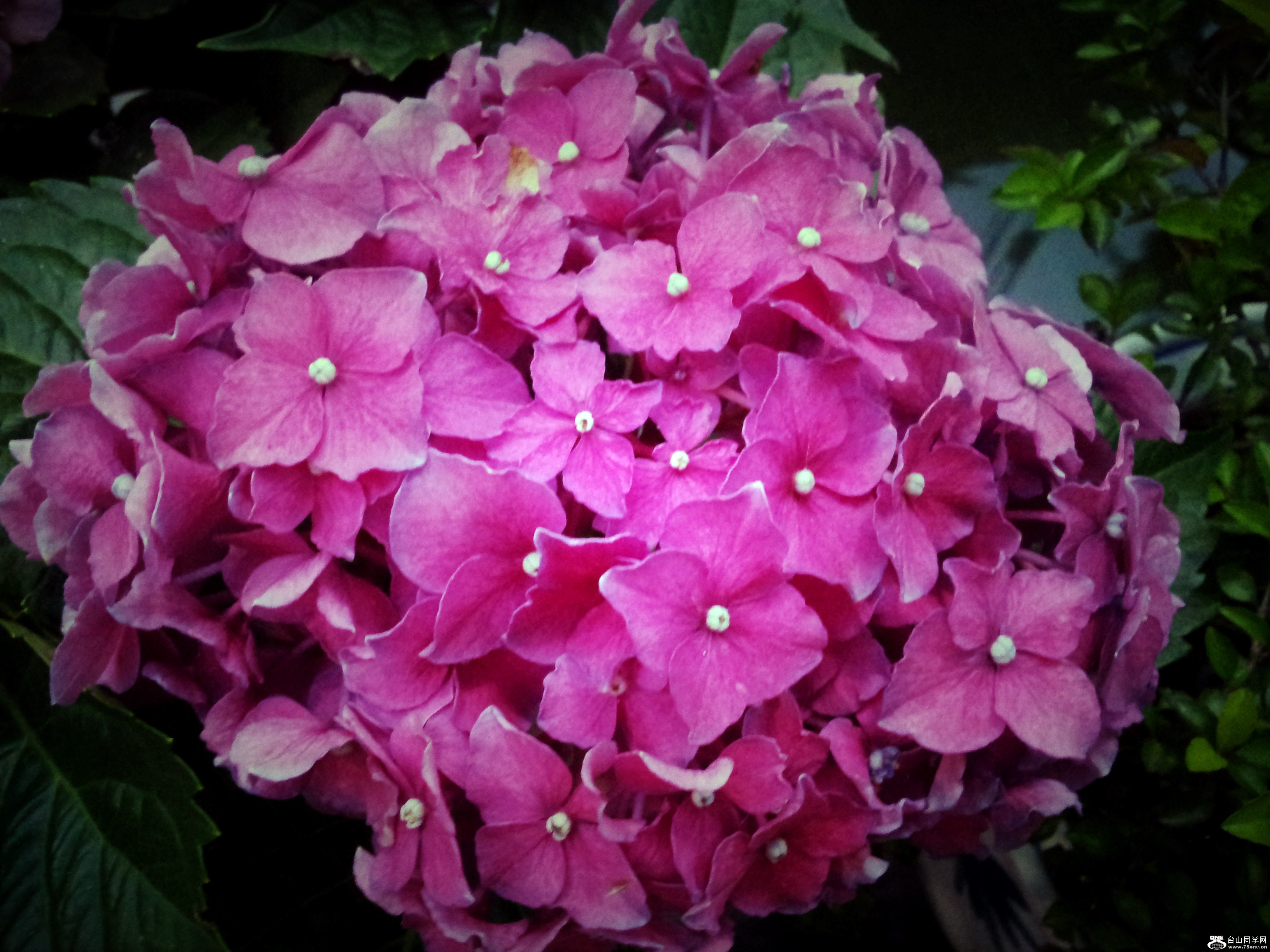 20120523_190315.jpg