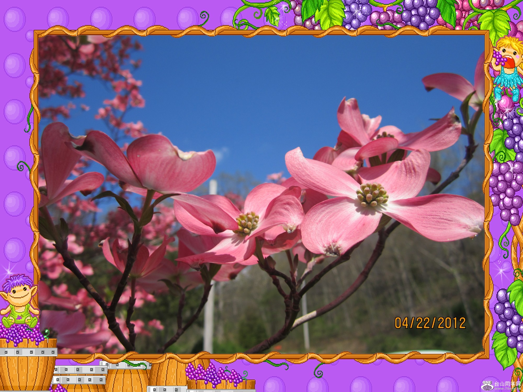 IMG_0278_conew1.jpg