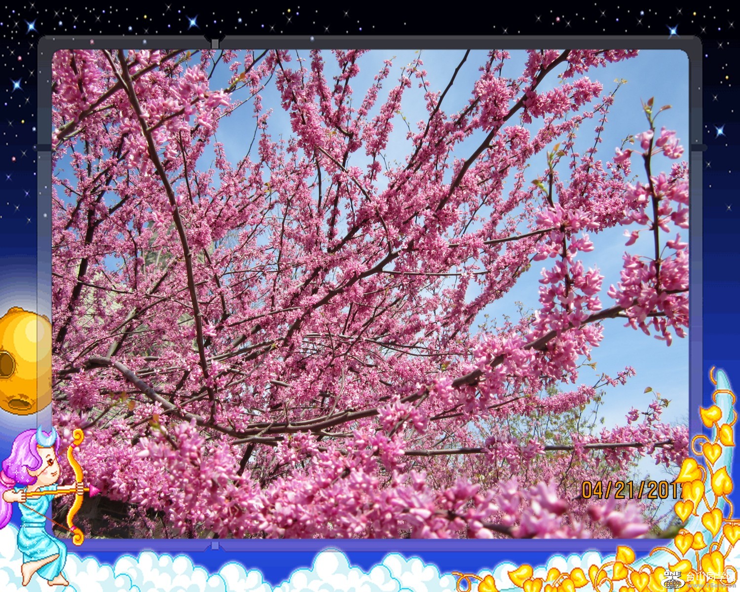 IMG_0248_conew1.jpg
