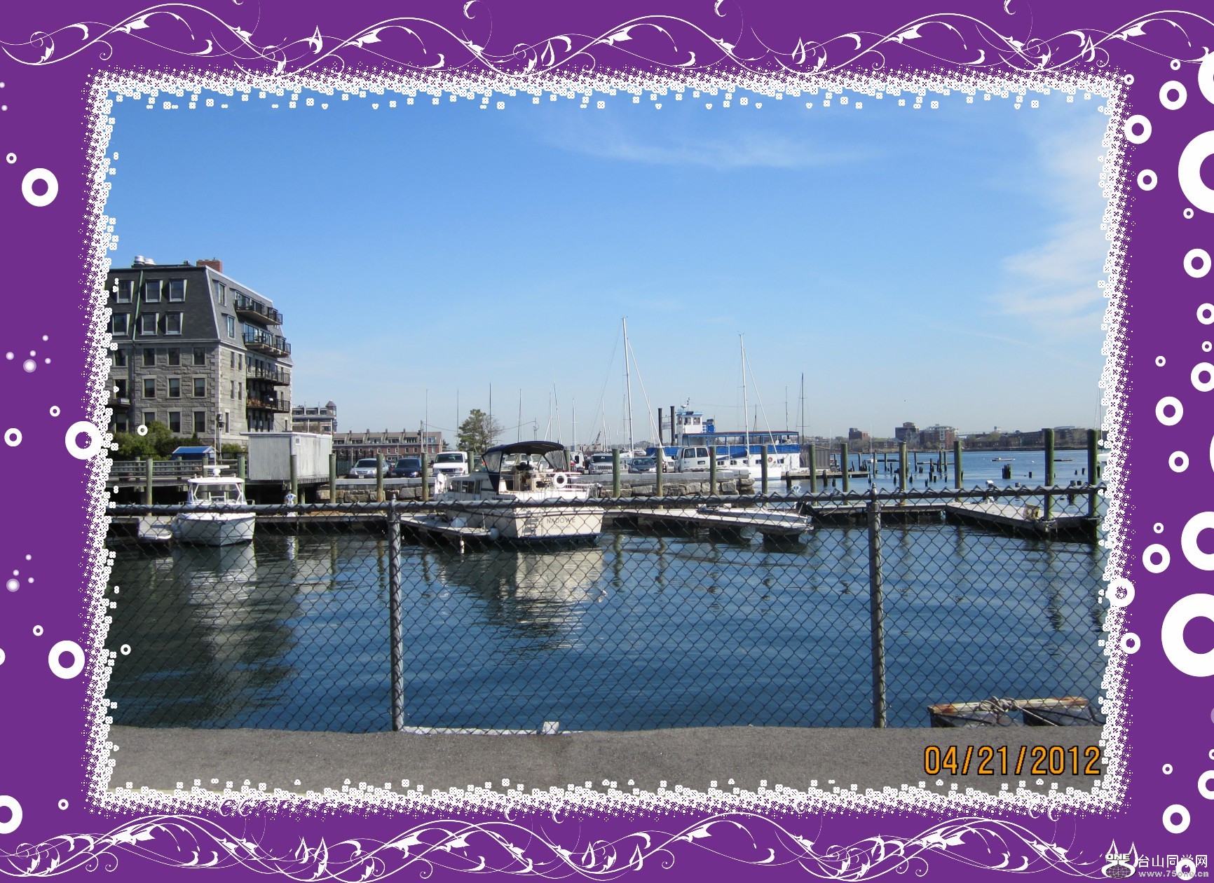 IMG_0180_conew1.jpg