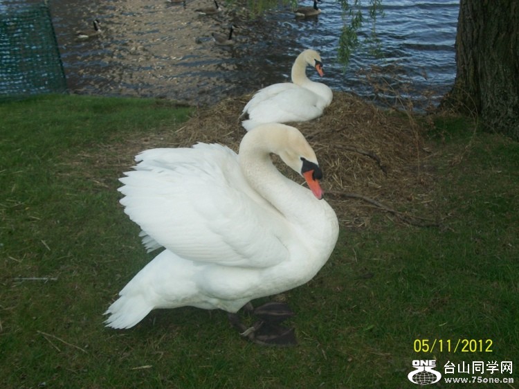 100_1628.JPG