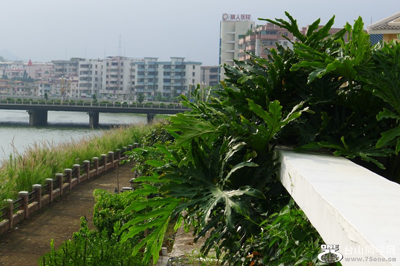 P1000929_.jpg