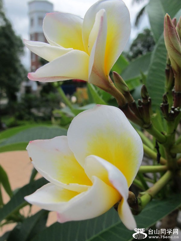 IMG_6260.jpg