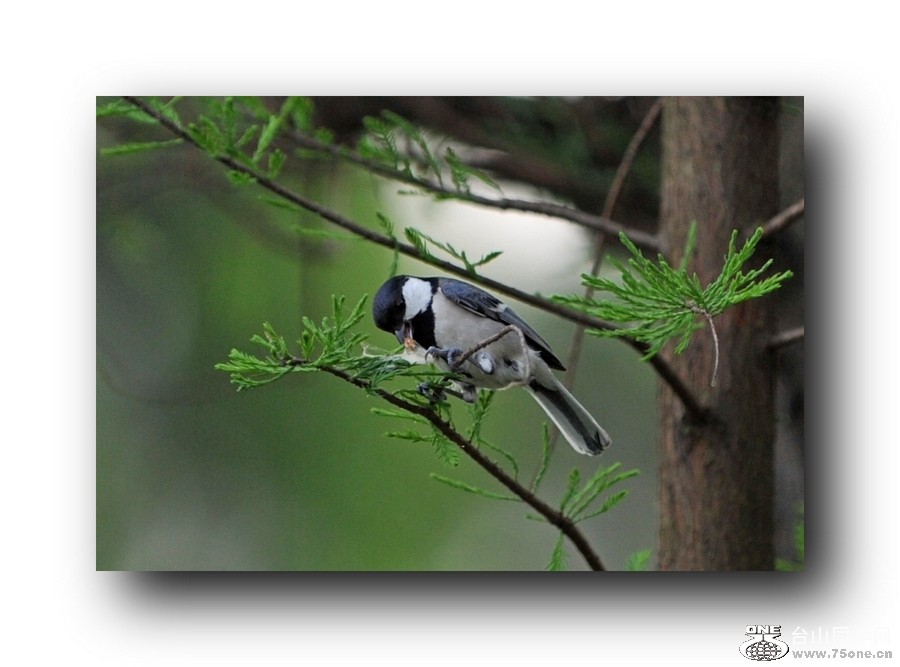 ��Ƭ 21320792071.jpg