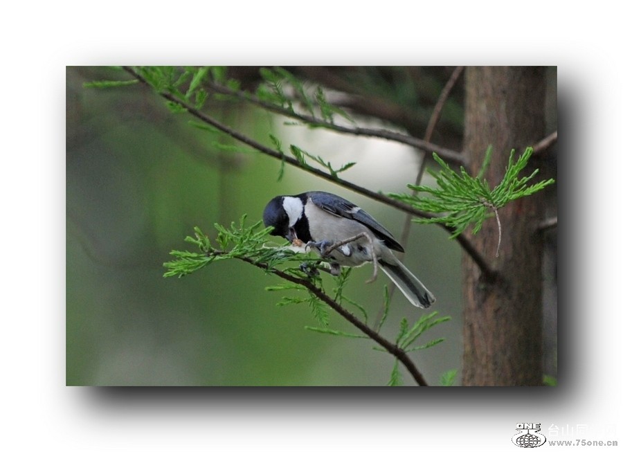 ��Ƭ 21320792061.jpg