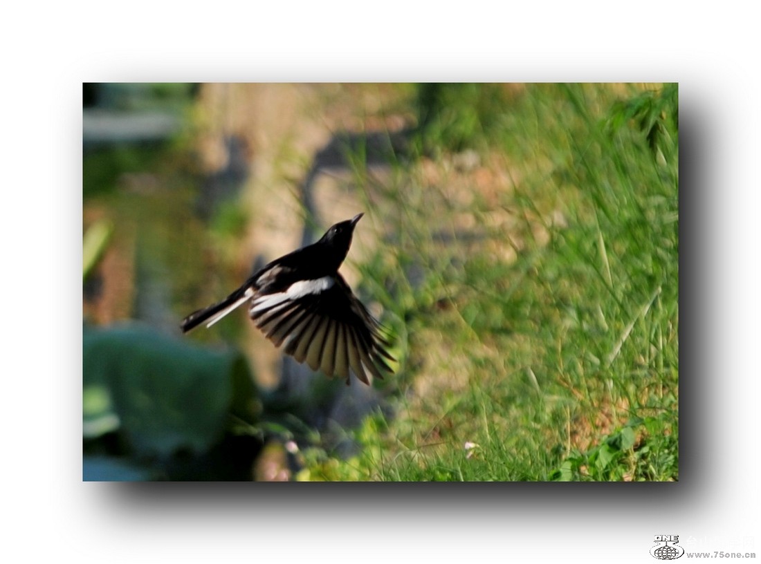 ��Ƭ 21320792661.jpg