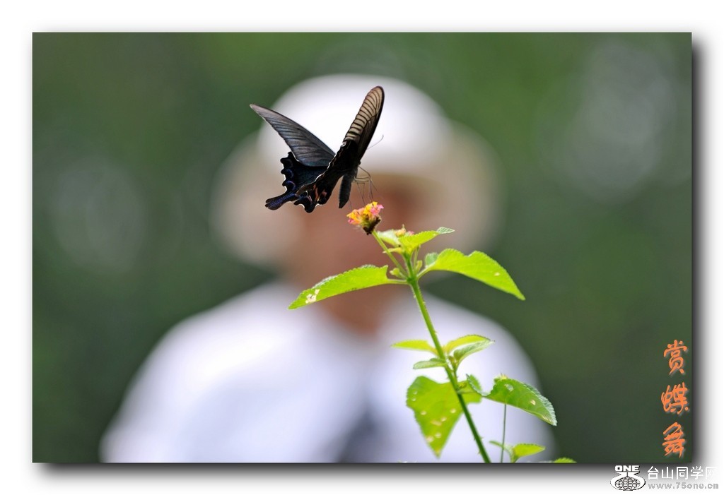 ��Ƭ 0161_conew1.jpg