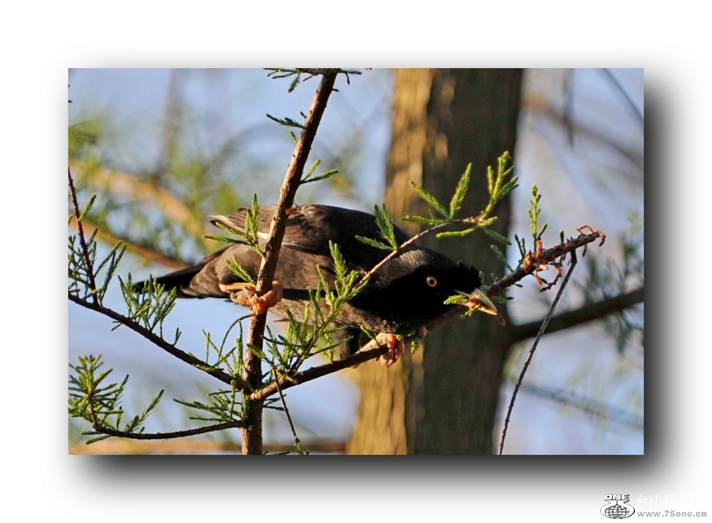 ��Ƭ 21320792921.jpg