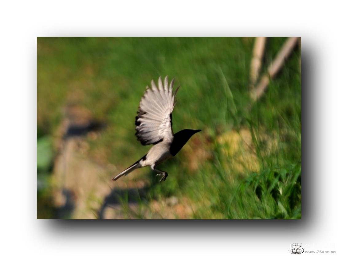 ��Ƭ 21320792671.jpg