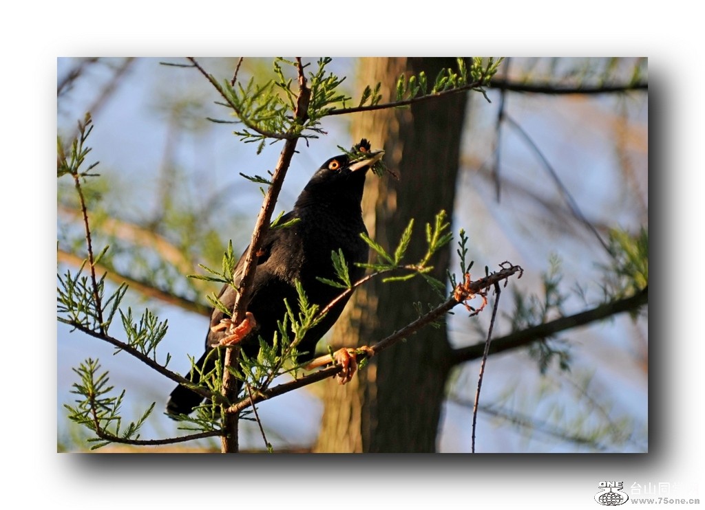 ��Ƭ 21320792941.jpg