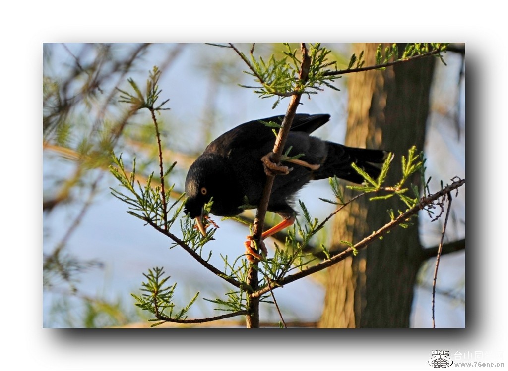 ��Ƭ 21320793081.jpg