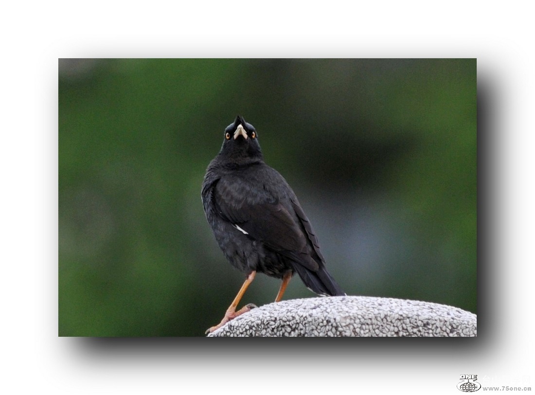 ��Ƭ 2132079256112.jpg