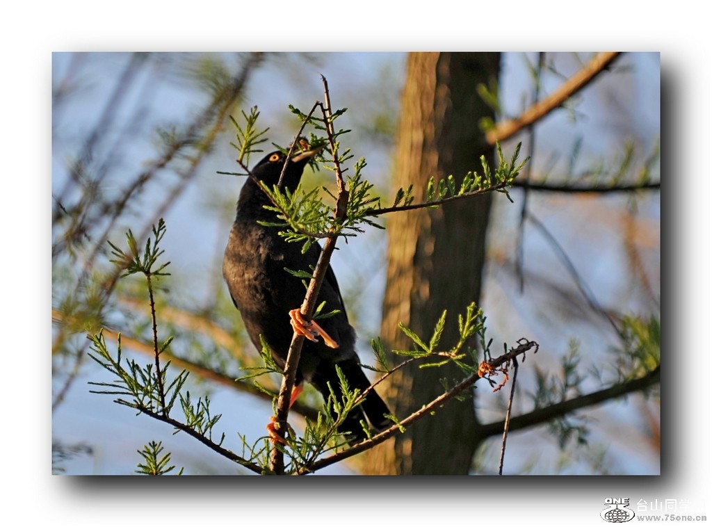 ��Ƭ 21320793161.jpg