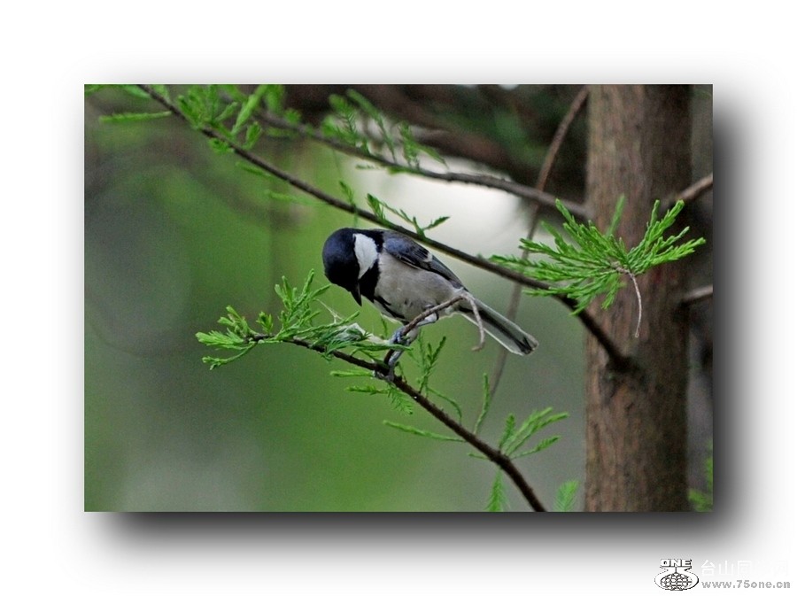 ��Ƭ 21320792121.jpg