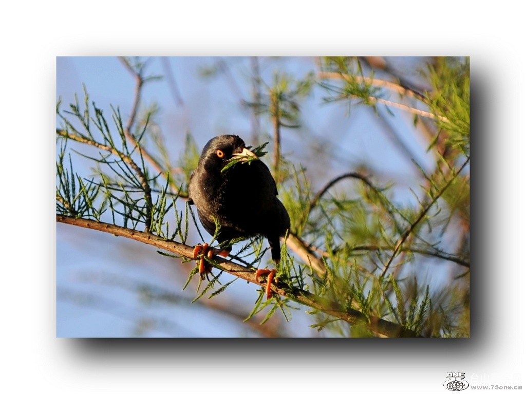 ��Ƭ 21320792831.jpg