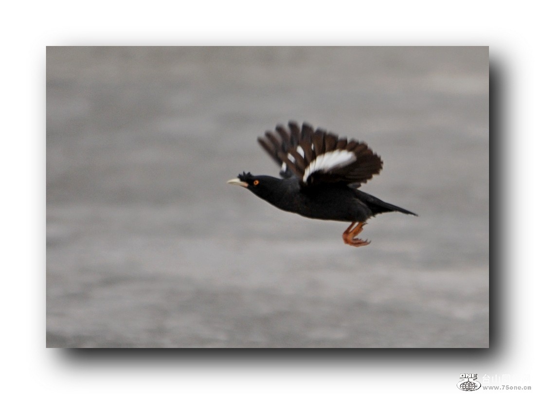 ��Ƭ 2132079254112.jpg