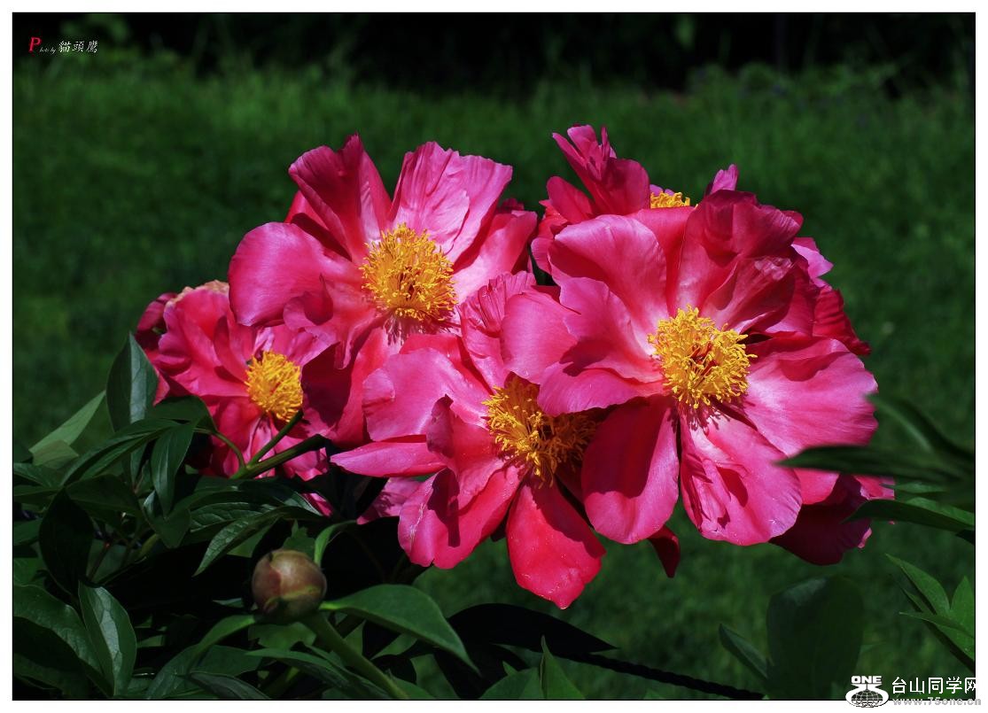 }u -ձ@12-8 270-c.jpg