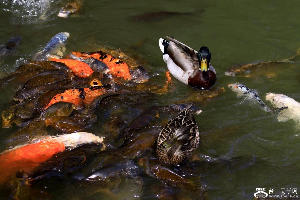 }u -ձ@12-5 373-a.jpg