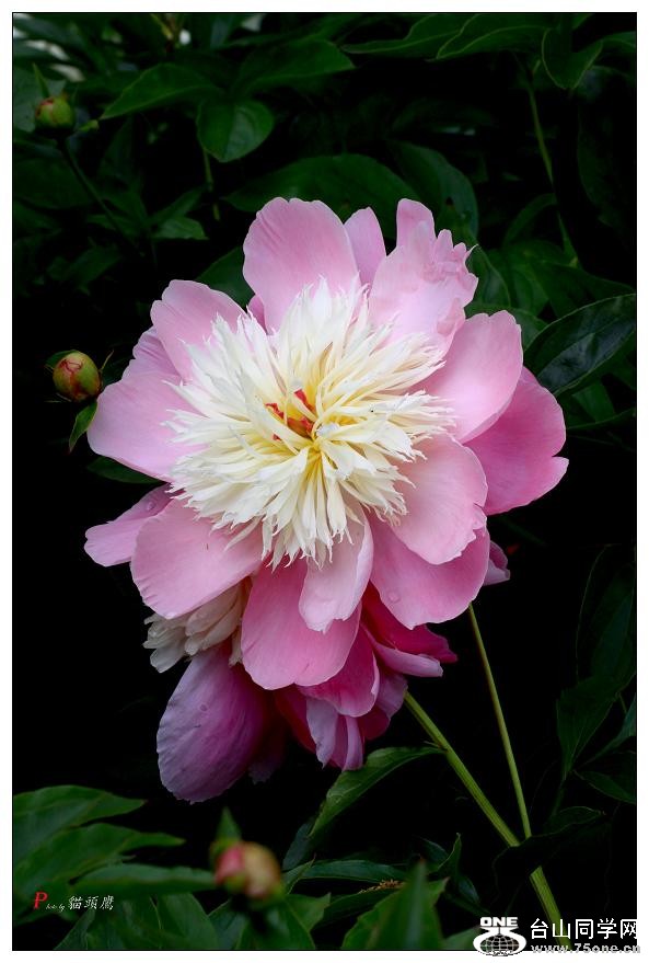 }u -ձ@12-8 409-c.jpg