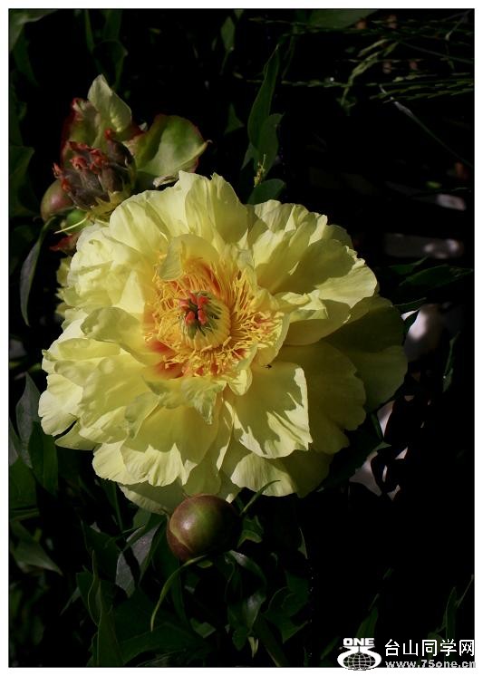 }u -ձ@12-8 222-a.jpg