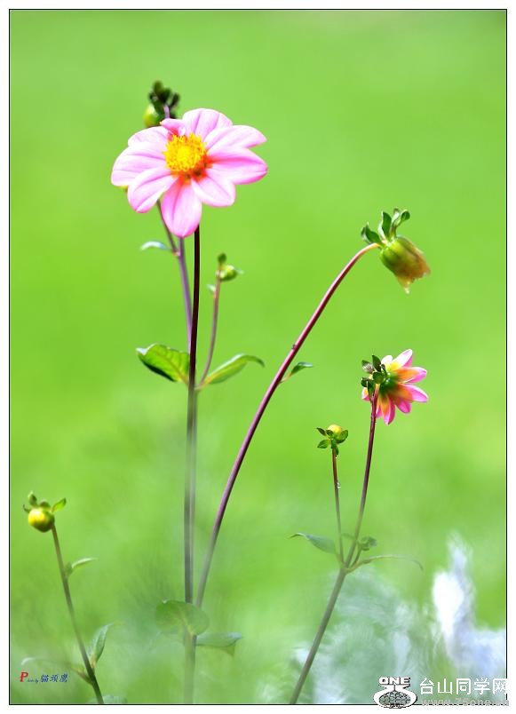 }u -ձ@12-8 096-c.jpg