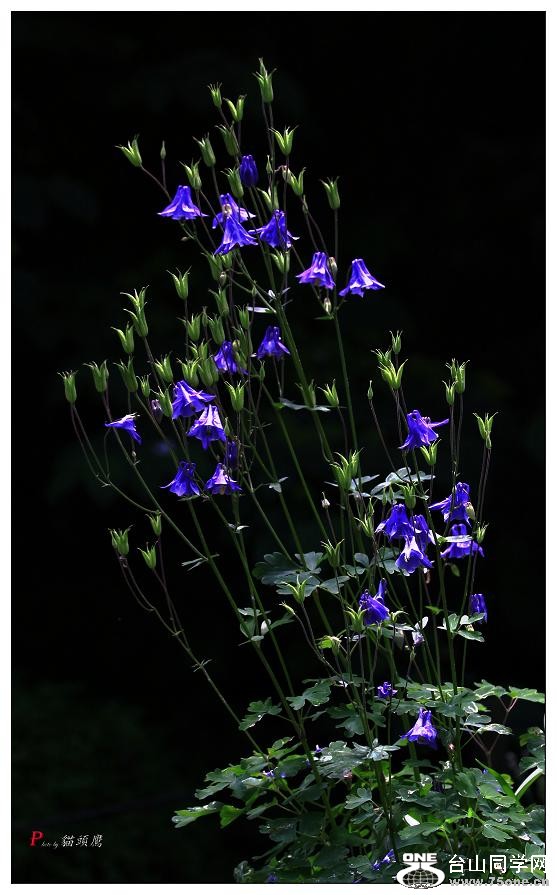 }u -ձ@12-8 116-c.jpg