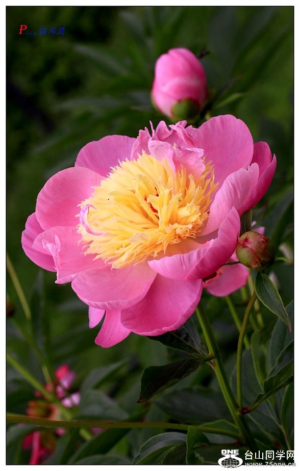 }u -ձ@12-8 402-c.jpg