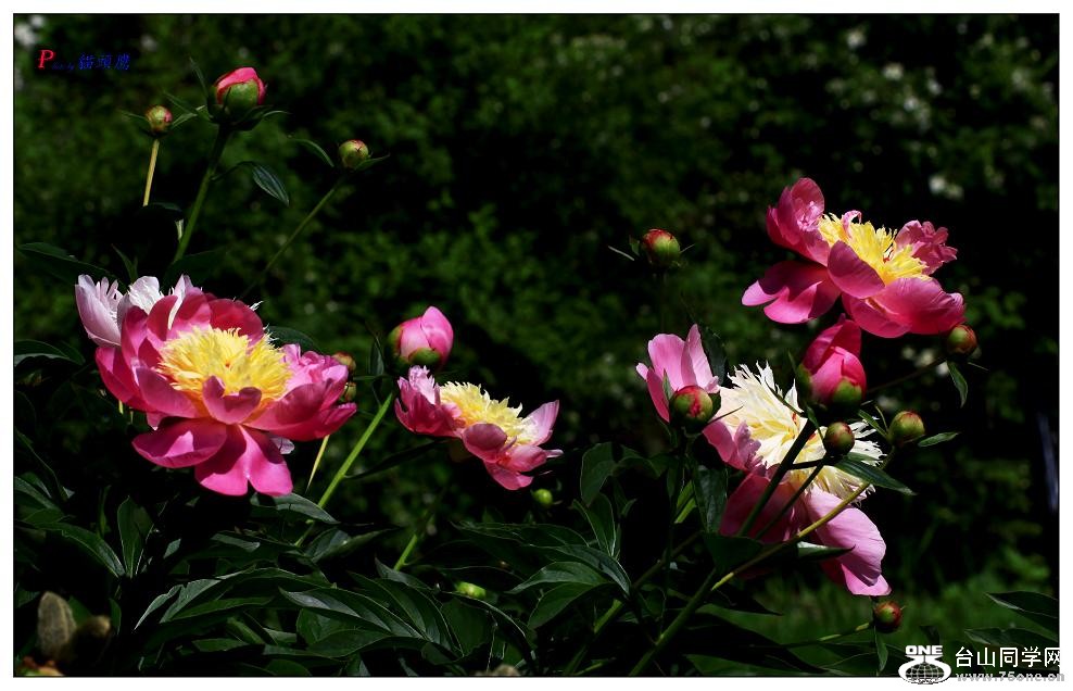 }u -ձ@12-8 262-a.jpg