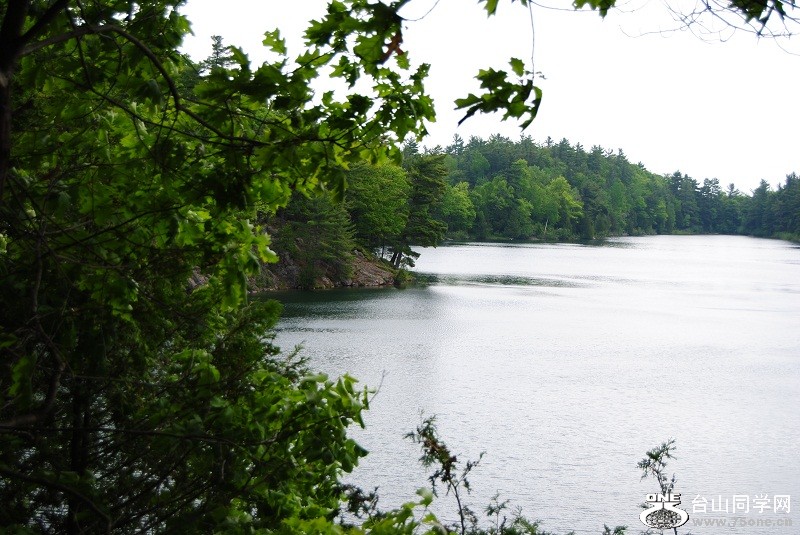 DSC_2411.JPG