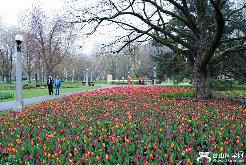 DSC_1512.JPG