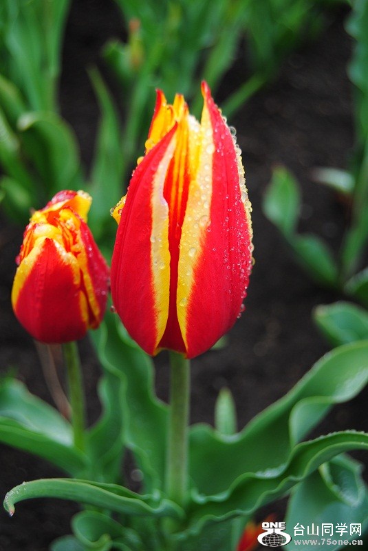 DSC_1506.JPG