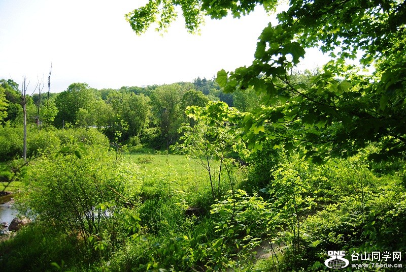DSC_2385.JPG