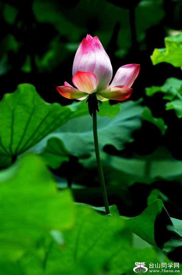 DSC_4146.jpg3333333.jpg