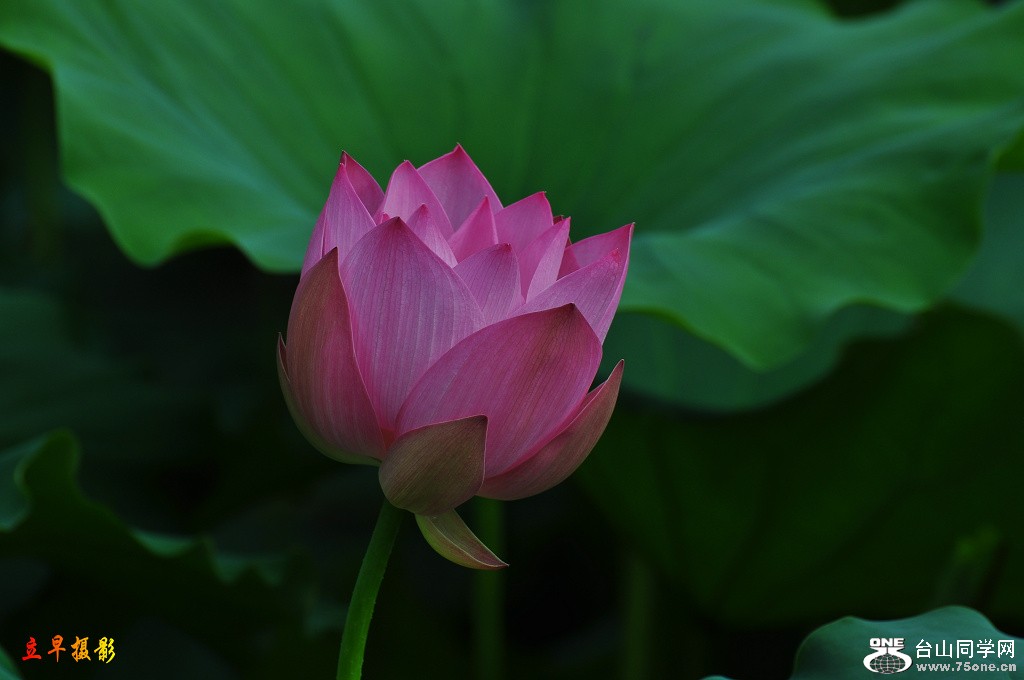 DSC_0016.JPG