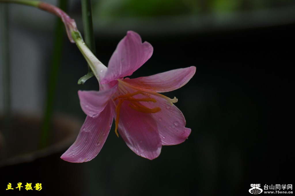 DSC_0015.JPG