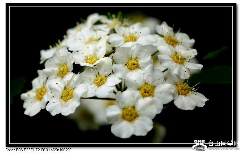 С IMG_3623.JPG