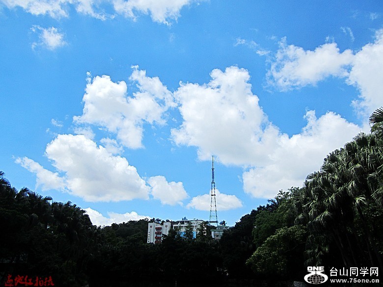 ��ͷ���������Ů 177_conew2.jpg