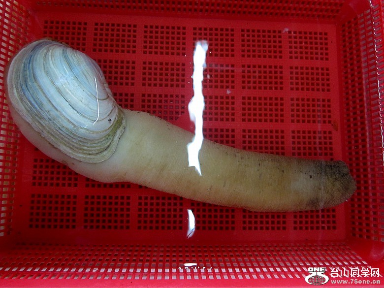 塢ʯ 041_conew1.jpg