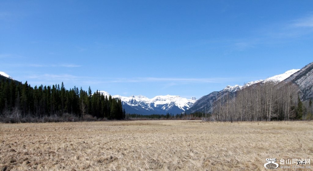 Picture 1044-001.jpg