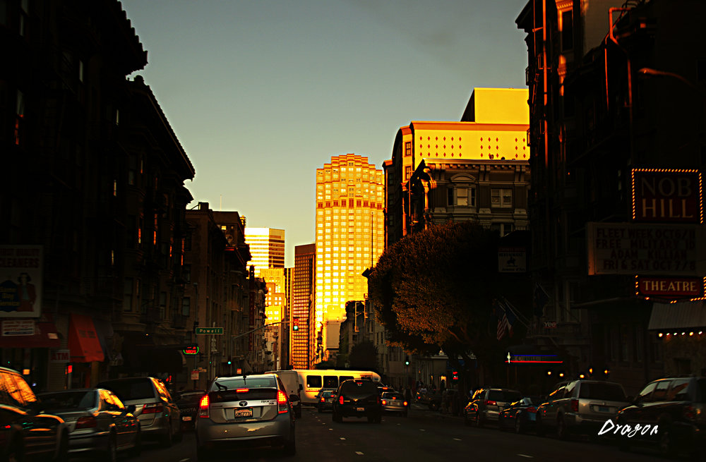 IMGP1237.jpg