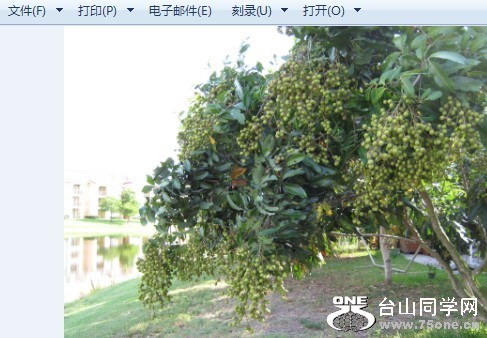 δ009.jpg