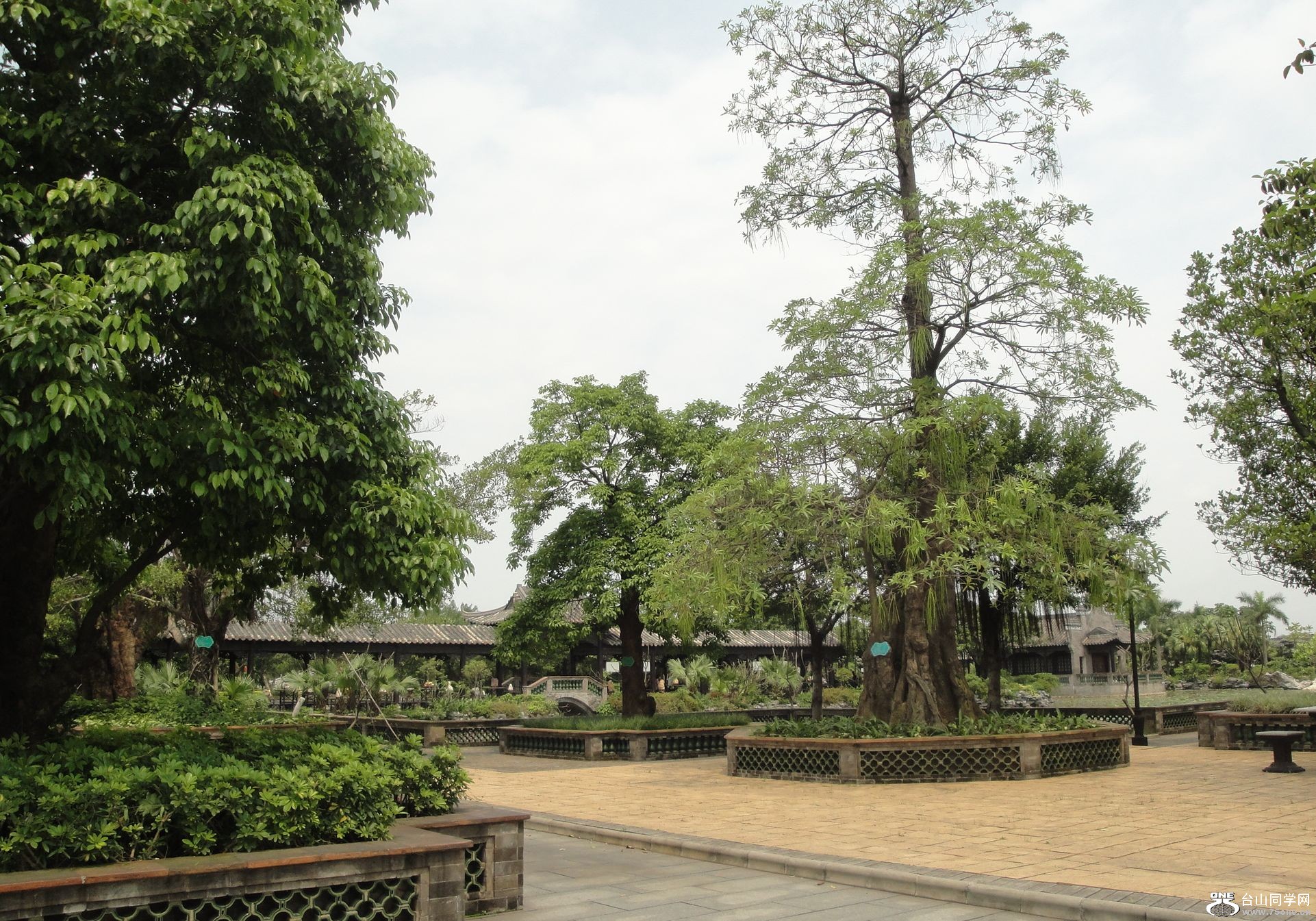 DSC09816.jpg