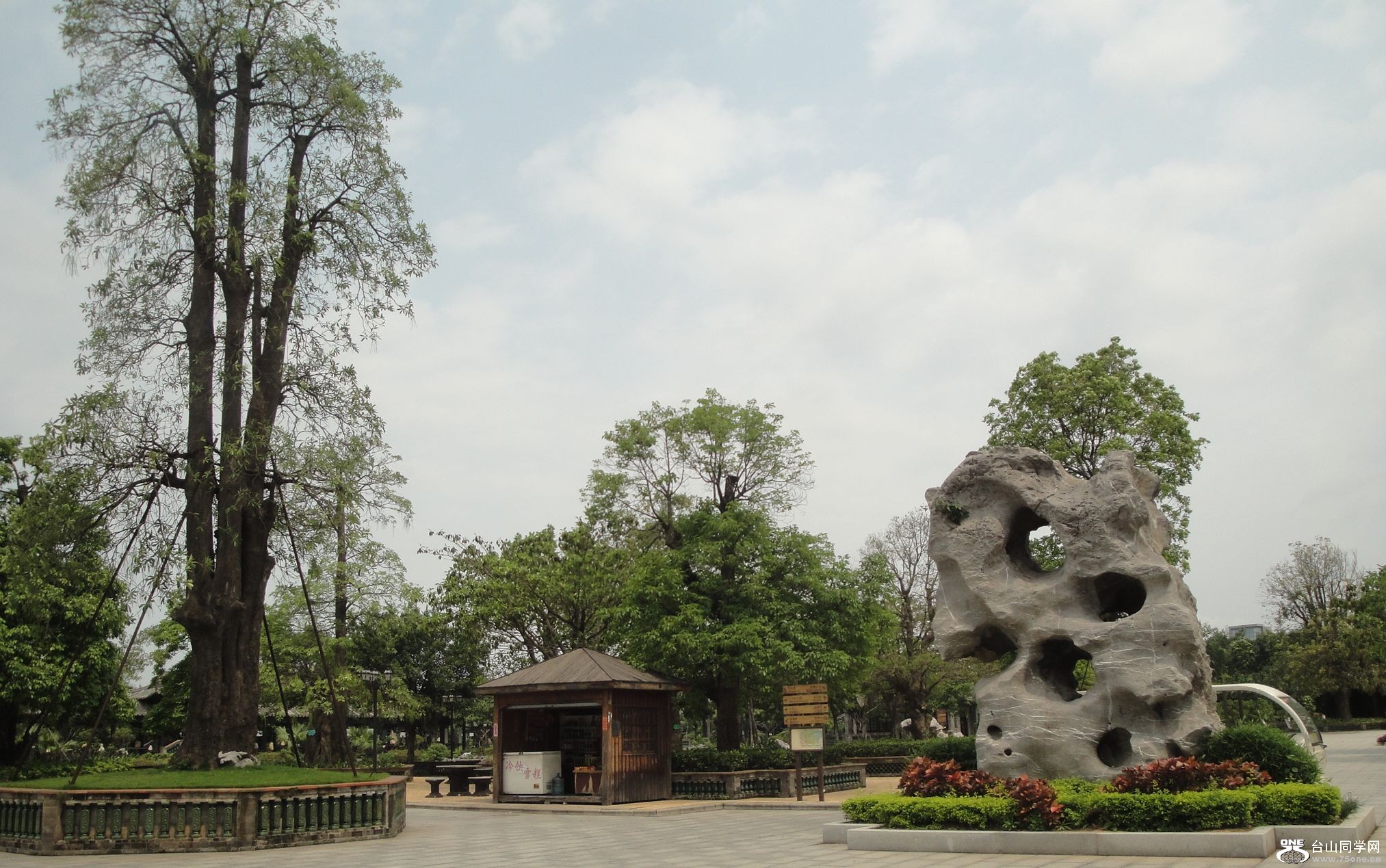 DSC09812.jpg