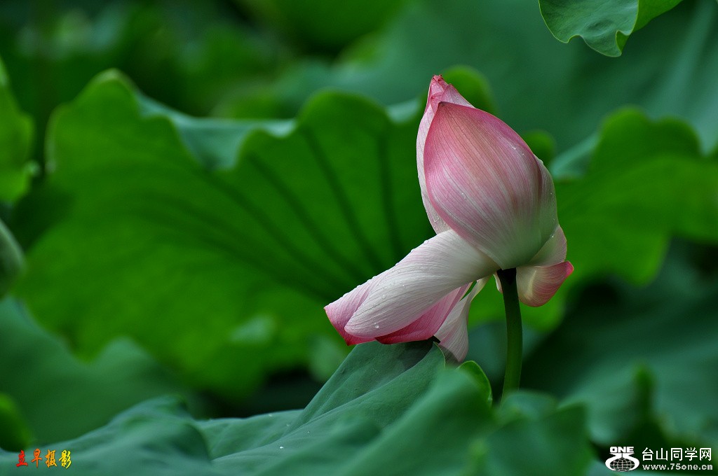 DSC_0031.JPG